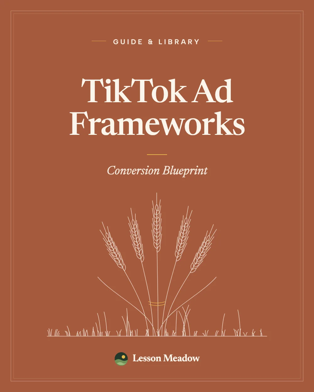 TikTok Ad Frameworks